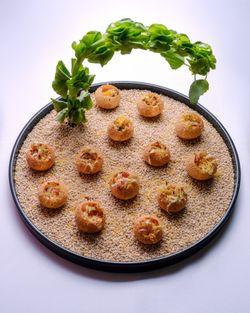 Small round appetizers arranged on a bed of grains with green leafy garnish on the side at Cuisine Boulud New York