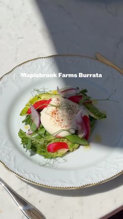 Fresh Maplebrook Farms Burrata served with mixed greens and vibrant vegetable garnishes on a decorative white plate.